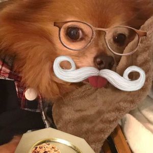 Meet your Posher, Kelli